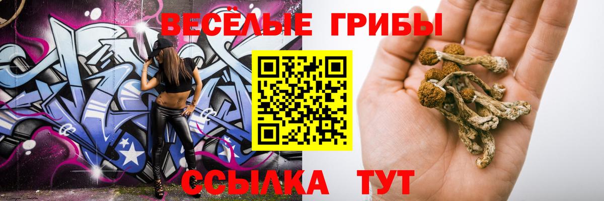Псилоцибиновые грибы мицелий Петрозаводск